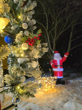 Chalet Resort Weekend BORJOMi